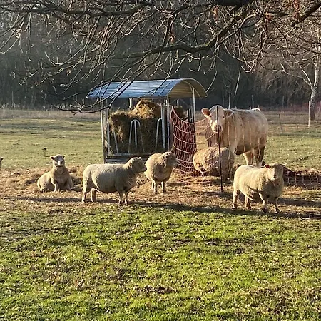 Apartamento Brigitte *