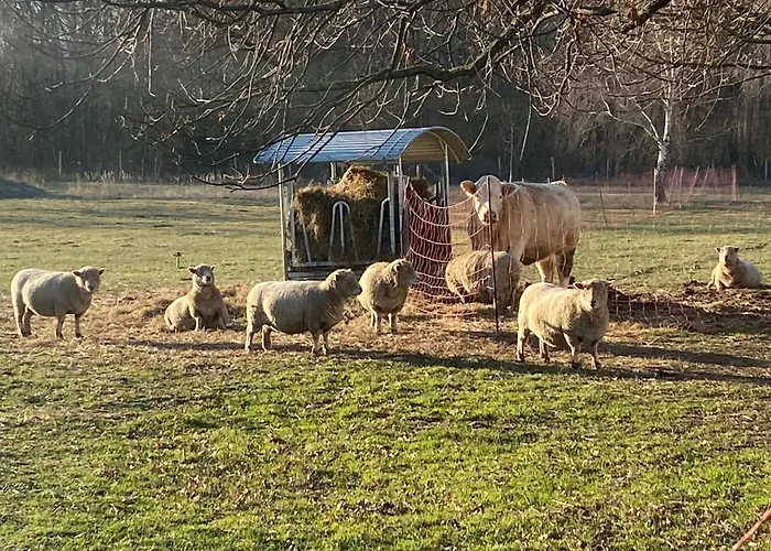 Apartamento Brigitte *