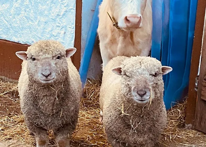 Apartamento Brigitte Mittenwalde